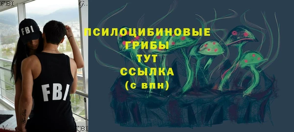 ГАЛЛЮЦИНОГЕННЫЕ ГРИБЫ Арсеньев